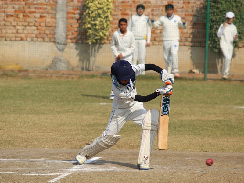 Premium cricket equipment